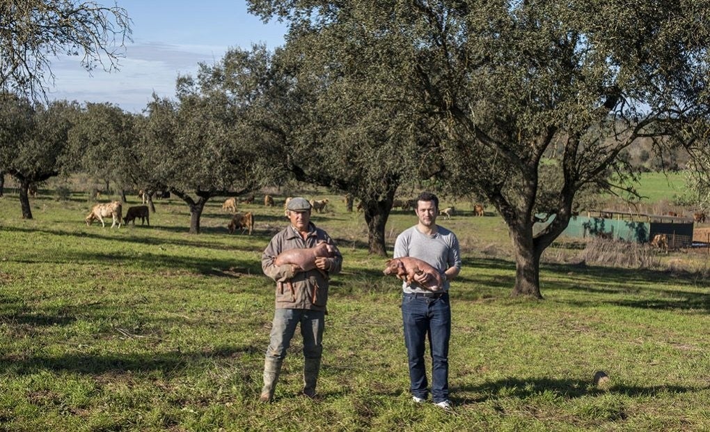 El cochinillo ibérico de los grandes cocineros