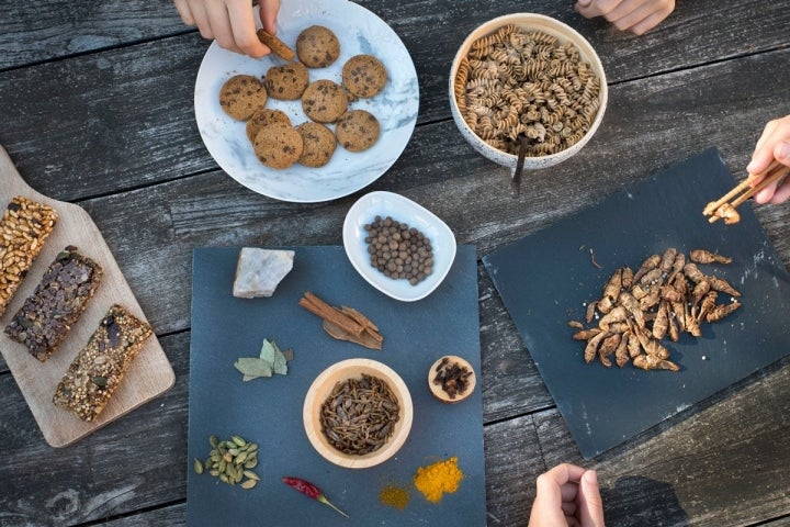 Los insectos son un alimento de lo más saludable.