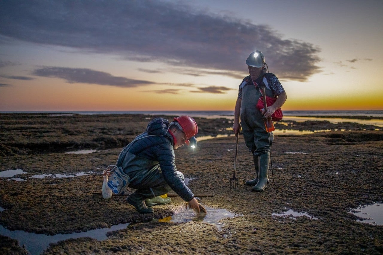 Padre e hijo van a pescar de noche al corral con las mareas de luna llena.