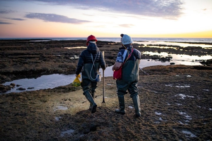 corrales pesca chipiona