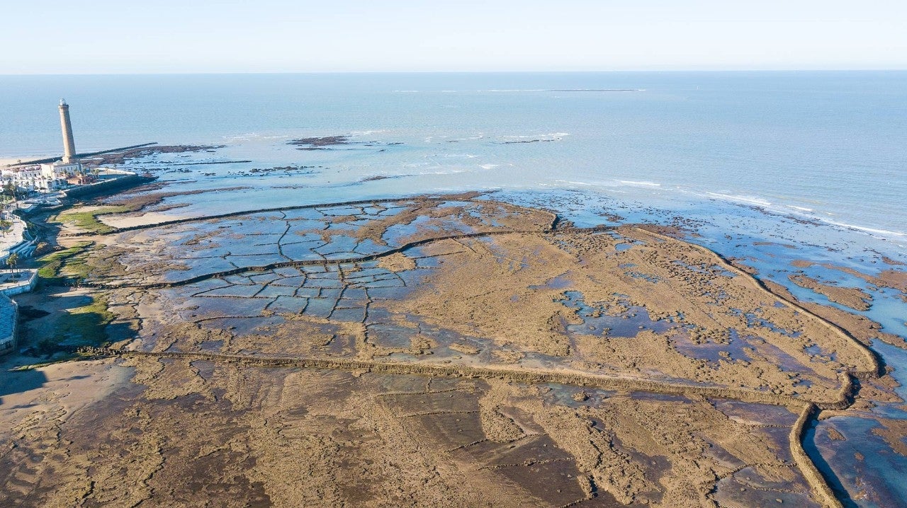 Corrales de pesca de Chipiona - Foro Clima, Naturaleza, Ecologia y Medio Ambiente