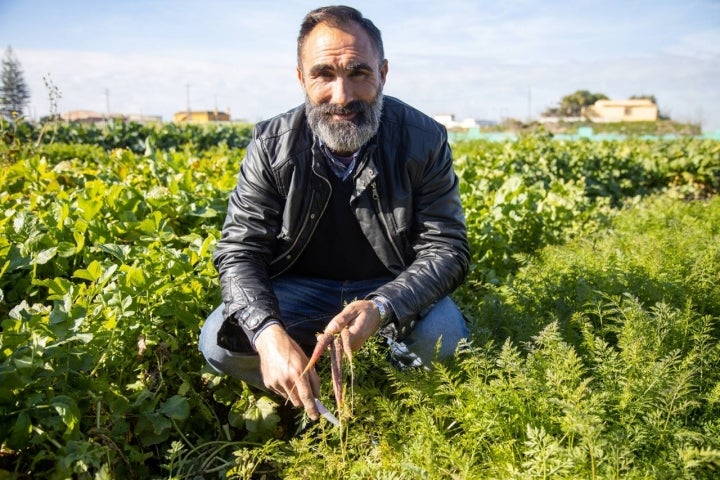 El cultivo de Rafael Monge se riega con agua del tollo.