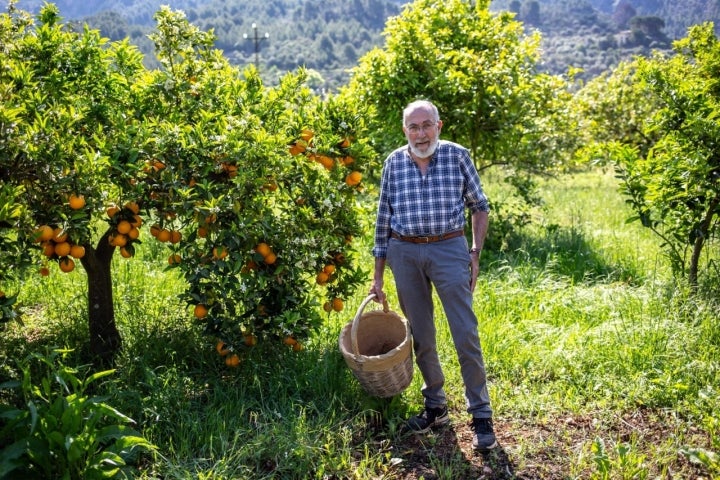 El campo mallorquín: Juan Puigserver, payés de Sóller