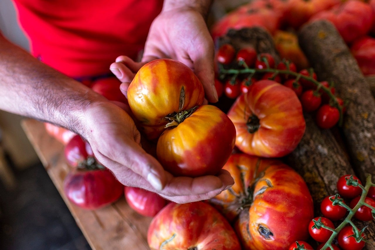 No te fíes de los tomates que son estéticamente perfectos.