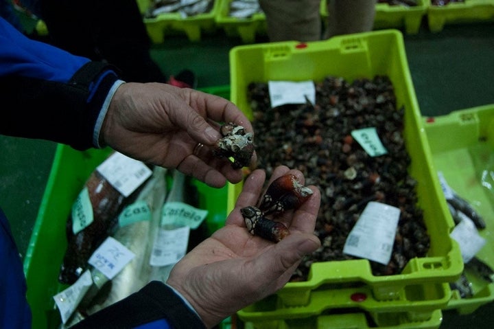 En 2015, se vendieron 183.800 toneladas de pescado y marisco en Galicia.