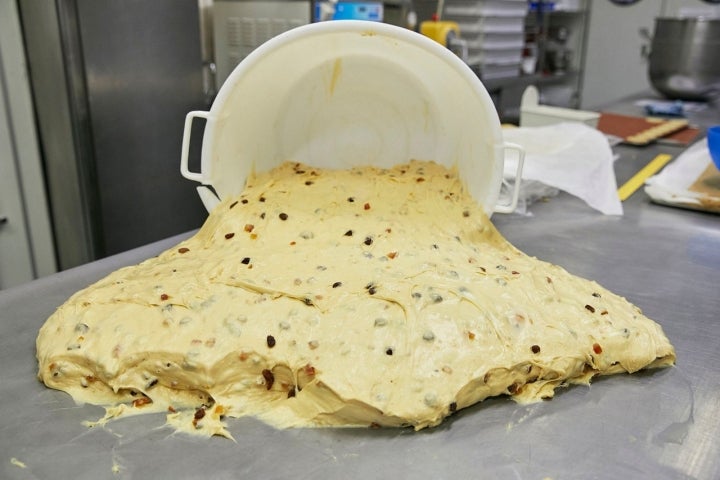 masa madre para hacer el Panettone