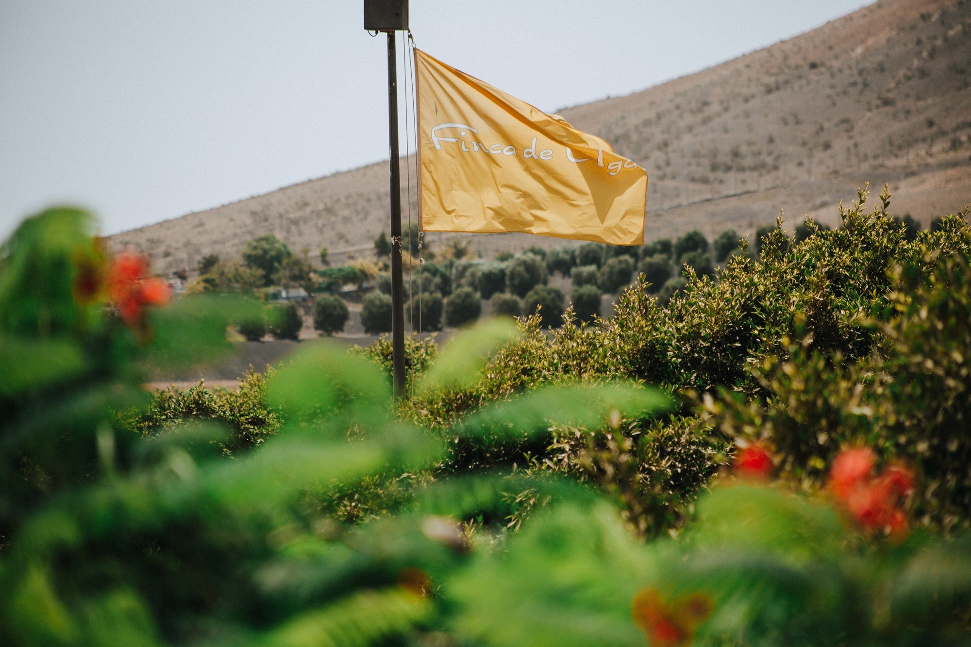 Finca de Uga (Lanzarote) bandera