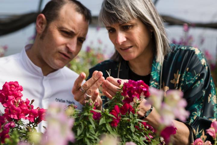 Cristian Palacio, del restaurante Gente Rara, y Laura Carrera, de Innoflower, analizan el pistilo de una flor