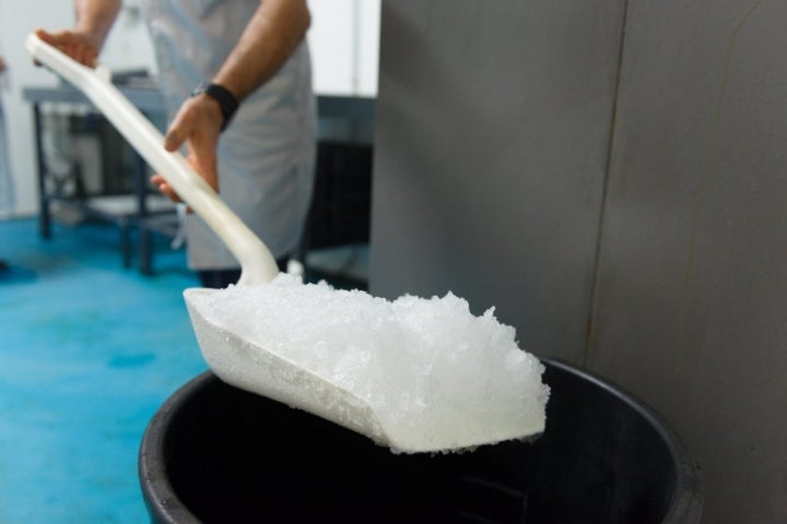 Gamba Natural: hielo para el sacrificio de los langostinos