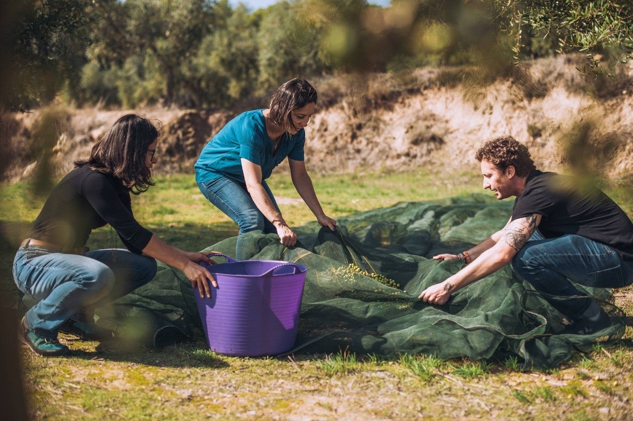 'Nou Segons', aceite de jóvenes productores. Foto: 'Nou Segons'.