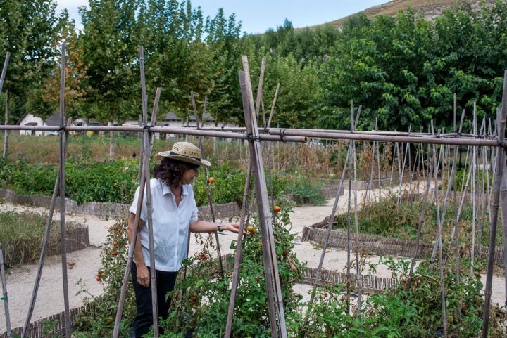 Amparo nos muestra orgullosa los tomates mientras un intenso aroma a tomateras lo inunda todo.