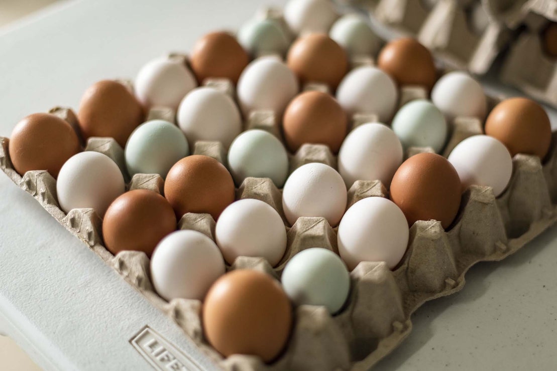 Distribuidor de alimentos on Instagram: Huevos frescos para tu