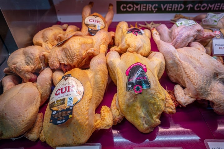 La Boqueria con Arnau Muñío (Barcelona) aves de Avinova