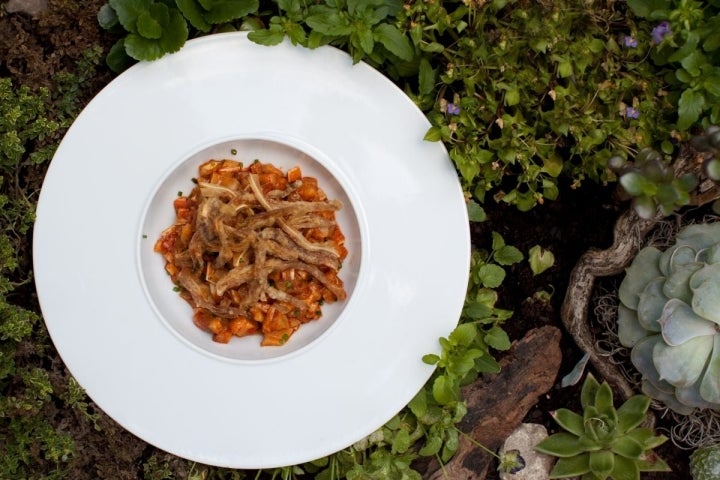 Plato de oreja con miel de Galicia, del restaurante 'La Horta d'Obradoiro'. Foto: La Horta d'Obradoiro.