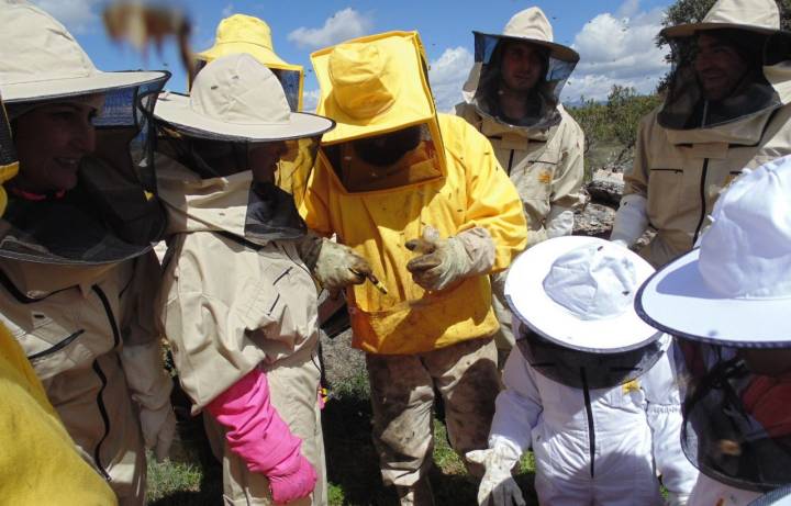 Un grupo de personas de todas las edades practican y conocen la apicultura, en el Jabardo SAT.
