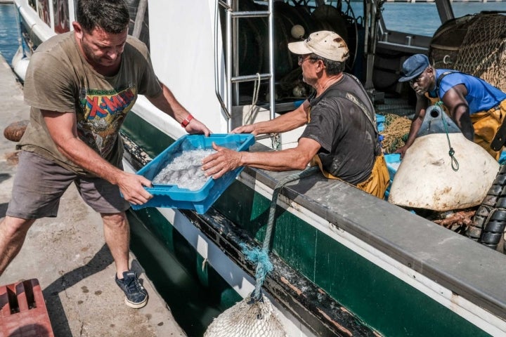 Descargando el pescado del barco.