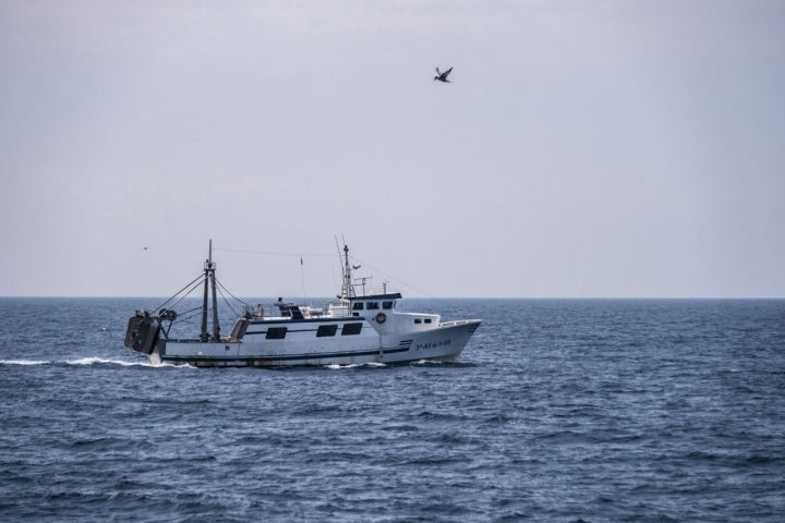 Un barco de pesca de arrastre rumbo a la zona de profundidad de la gamba roja.