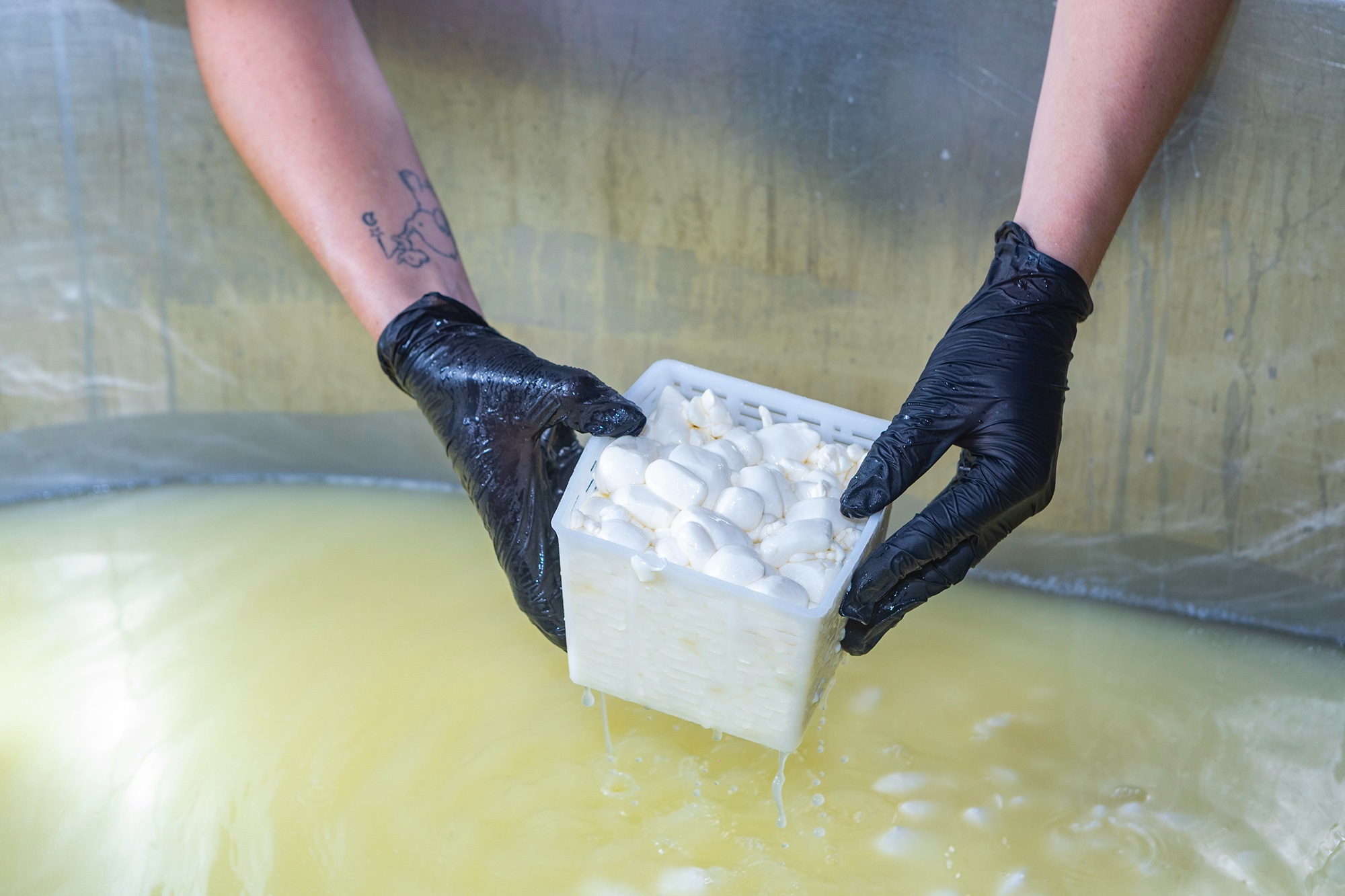 Moldeado y desuerado del queso.