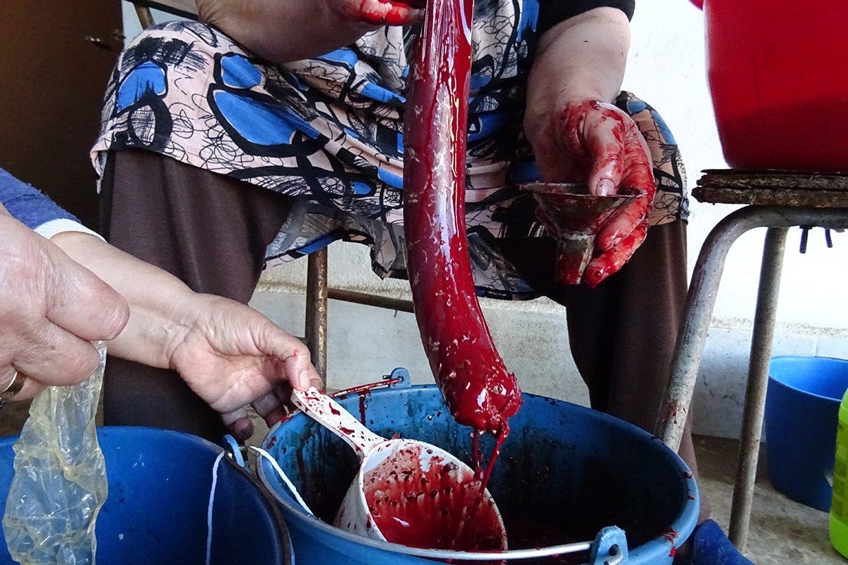 Embuchando la mondoga en la matanza del cerdo ibérico en Puebla de Sancho Pérez, Badajoz.