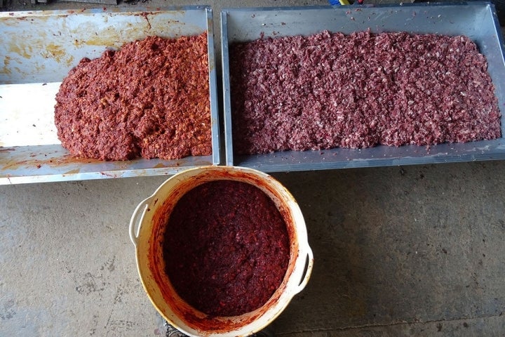 Artesas llenas con las mezclas de los embutidos durante la matanza del cerdo ibérico en la comarca de Los Barros, Badajoz.