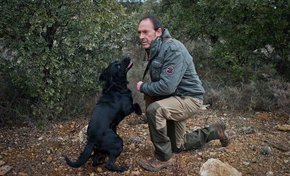 "Cuando los perros no encuentran trufas se deprimen"