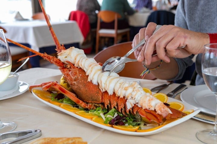 Sucediendo milicia Grapa Langosta en el vivero del restaurante 'Astuy' (Isla, Cantabria) | Guía  Repsol | Guía Repsol