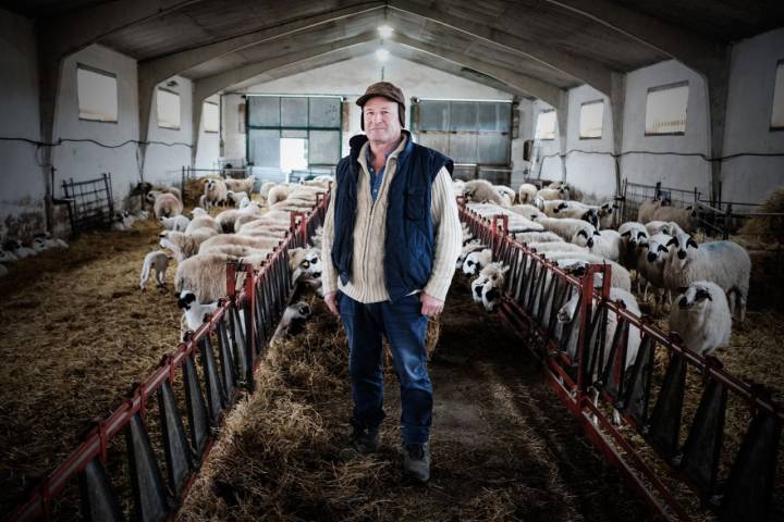 Vidal Lázaro lleva 30 años con esta ganadería de ovejas en Oquillas.