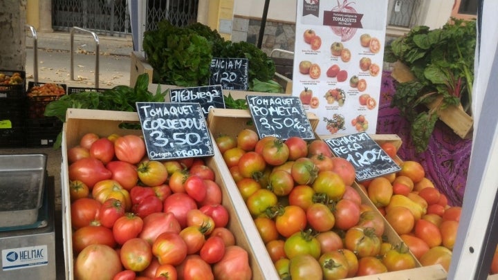 Tomates de Horta la Fanecada (Barcelona)