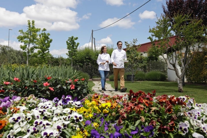 Heladería 'dellaSera': jardín de flores y hierbas aromáticas