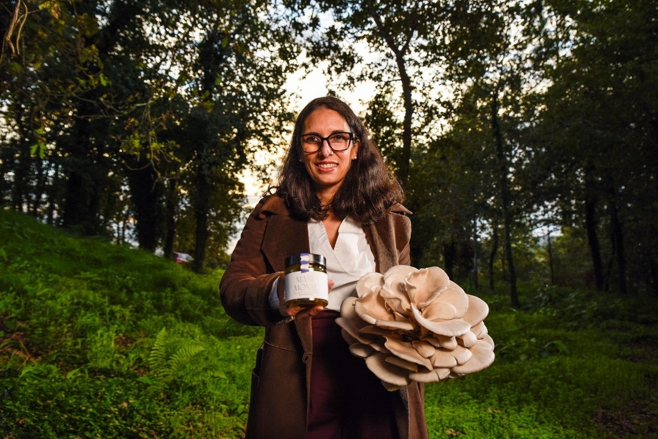 Setas ecológicas con sabor a bosque y brisa salada