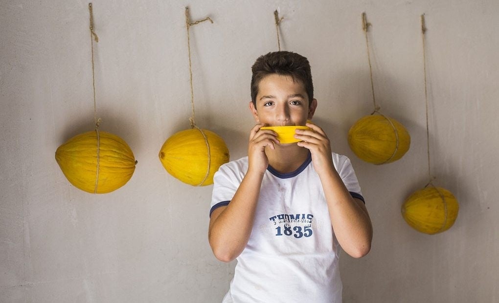 De sabor dulce y compacto en boca, así es el melón 'Diamante'.