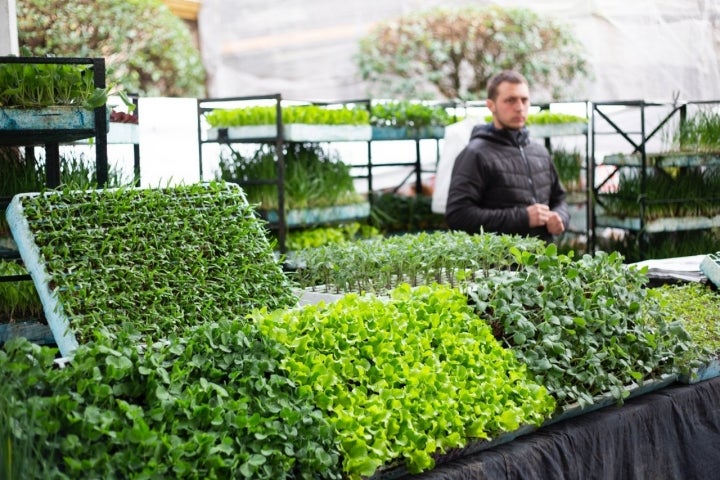 Mercado de Ordizia (Gipuzkoa): Joseba Arizmendi