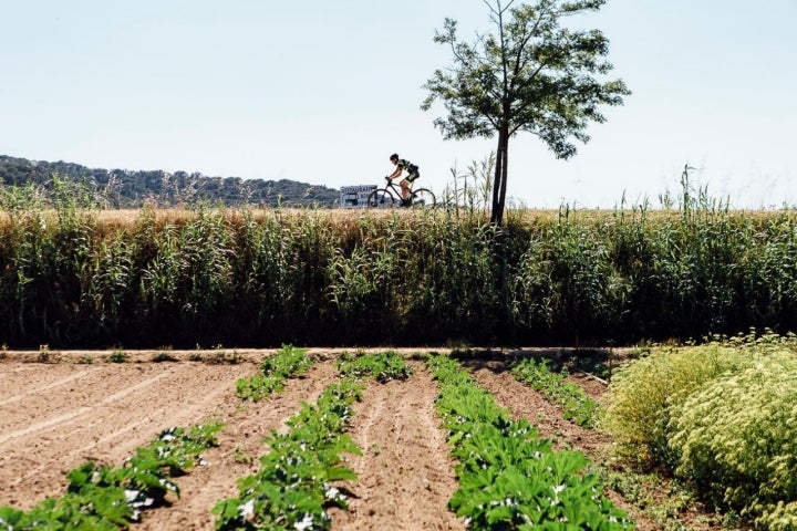 La huerta se extiende frente a la casa solariega familiar, en Vall d' Aro. Foto: César Cid