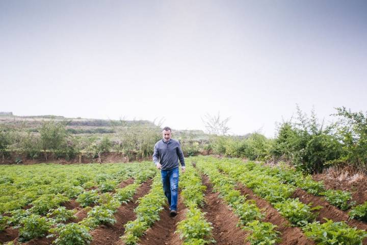 Domigo Ríos es doctor en ingeniería agrónoma y jefe de agricultura del Cabildo de Tenerife.