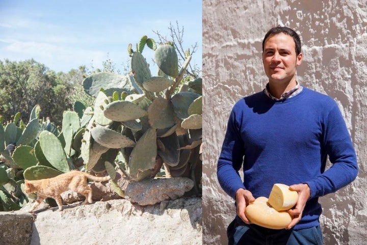 Toni Galmes, orgulloso con su afamado queso artesano de leche de vaca.