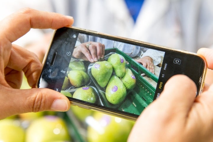 DOP Pera de Lleida: fotografiando peras limoneras