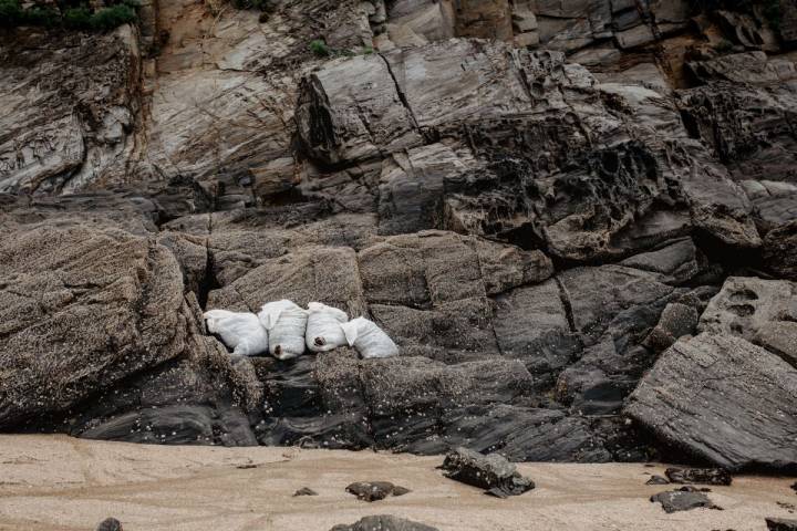 Algunos sacos de algas, ya en la playa, eperando para ser subidos a la furgoneta de Mar de Ardora, en Galicia.
