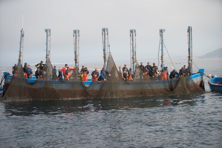 La tripulación inicia el operativo desde este barco, luego se distribuirán por el resto.