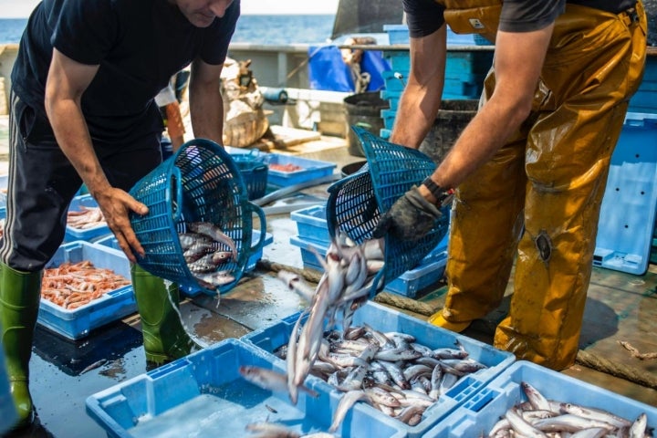 Pesca-turismo en el Grau (Castellón): apertura