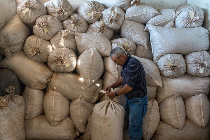 Los sacos ya cerrados y preparados para ser enviados a 'La Dalia'.