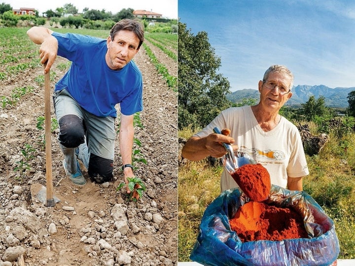 Productores de pimentón