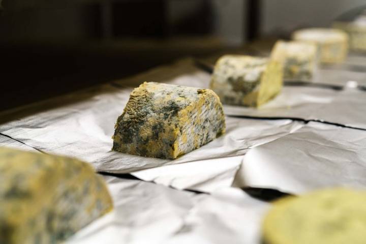 Un queso con lista de espera: azul de Airas Moniz. Foto: Fuco Reyes