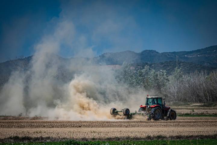 Tractor preparando los arrozales del Delta en invierno