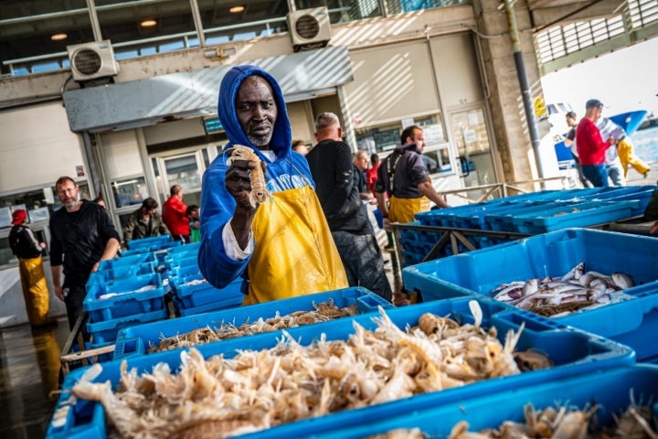 Pescadores en la lonja de La Ràpita