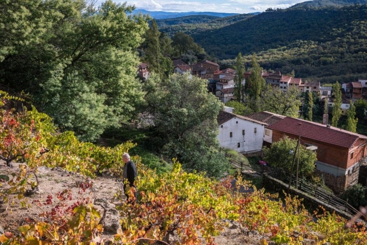 El pueblo visto desde las viñas.