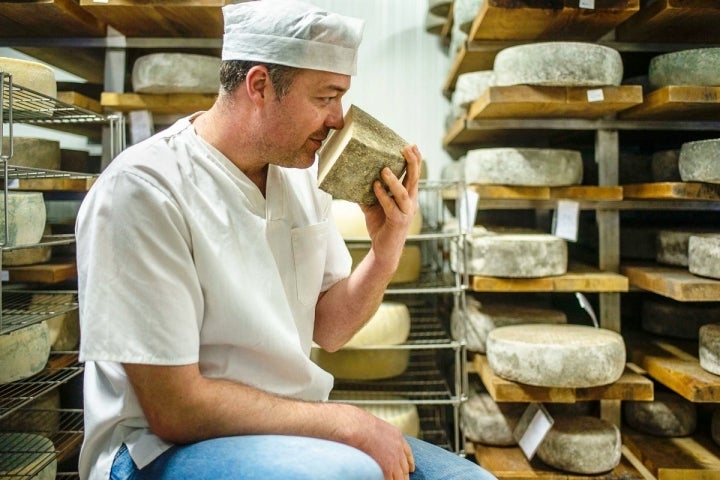 Ahora se produce la mejor leche que dará deliciosos quesos. Foto: Alfredo Cáliz.