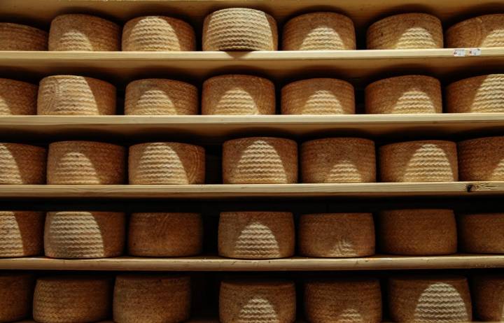 Muchos quesos 'Queseria Calaveruela'