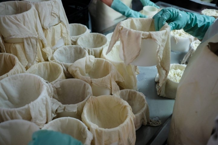 La cuajada se introduce en moldes y se lleva a una prensa para expulsar el suero.