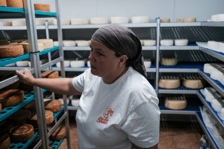 Lucía Torres en la cámara de maduración de sus quesos de la 'Era del Cardón'.