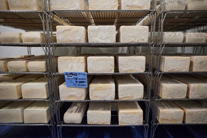 queso rectangular quesos y besos